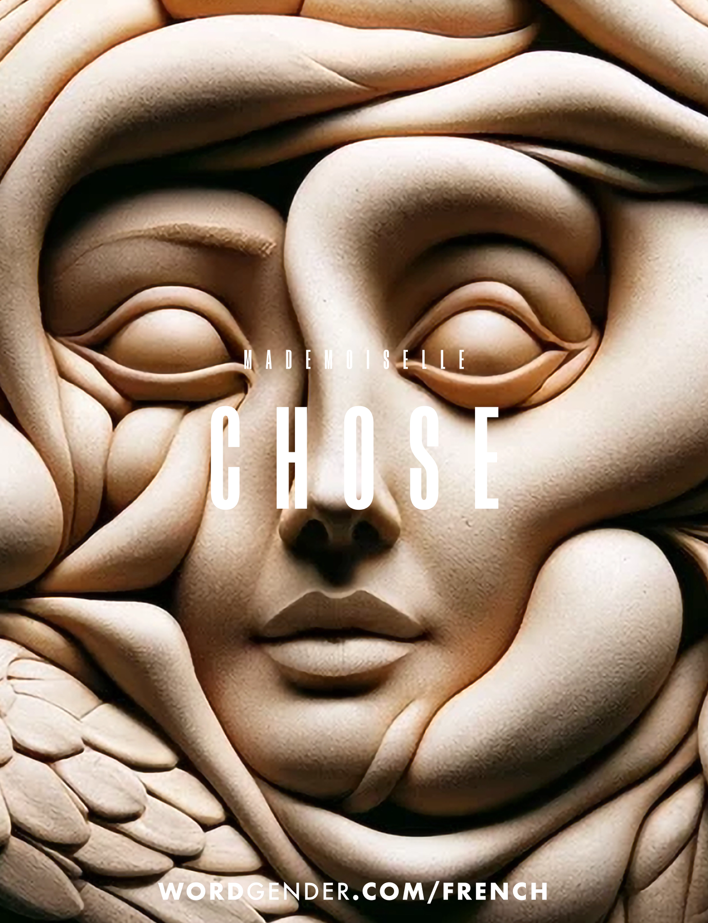 A surrealistic image features a woman's face intricately sculpted from soft, flowing materials that resemble folded fabric or clay. The facial features are seamlessly integrated into the organic, swirling patterns surrounding her. The woman's serene expression contrasts with the dynamic texture and movement of the material. The text "MADEMOISELLE" is written in elegant, thin letters above her closed eyes, and "CHOSE" in large, bold letters is centered over her nose and mouth. At the bottom, "WORDGENDER.COM/FRENCH" is written in white letters, providing a link for more information.